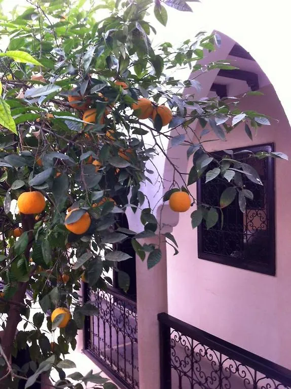 Riad Le Bel Oranger Hotel Marrakesh Morocco