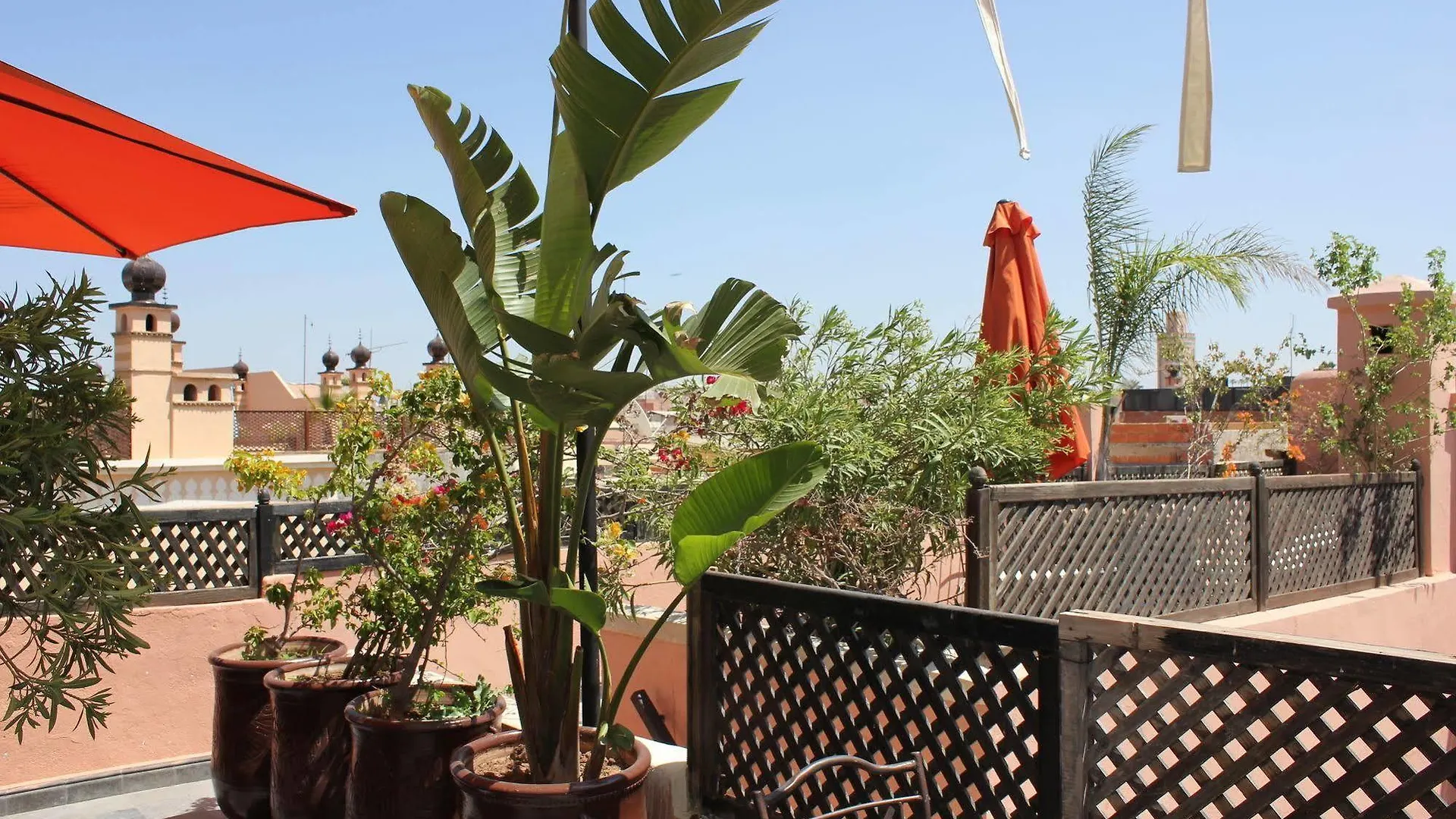 Riad Le Bel Oranger 마라케시